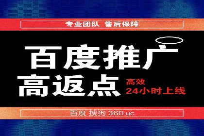 SEM代理助力品牌：案例解析与优化策略